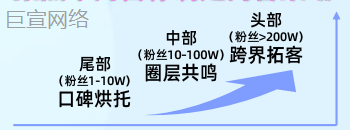 B站多梯队营销 B站多梯队营销