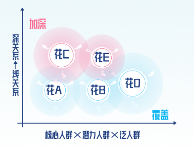 小红书广告:花飞+模式 小红书广告:花飞+模式