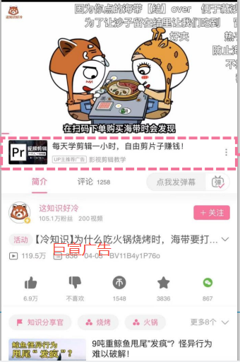 bilibili视频播放页框下广告素材大小 bilibili视频播放页框下广告素材大小