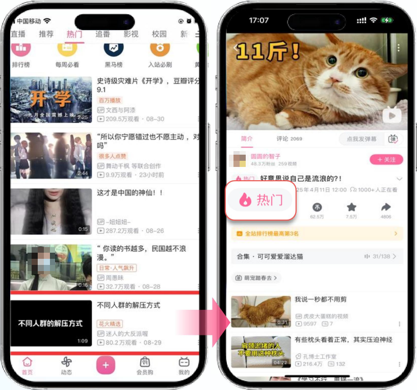 优质内容身份象征,流量集中覆盖海量用户路径 优质内容身份象征,流量集中覆盖海量用户路径