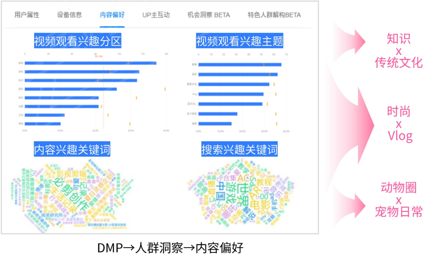 DMP→人群洞察→内容偏好 DMP→人群洞察→内容偏好